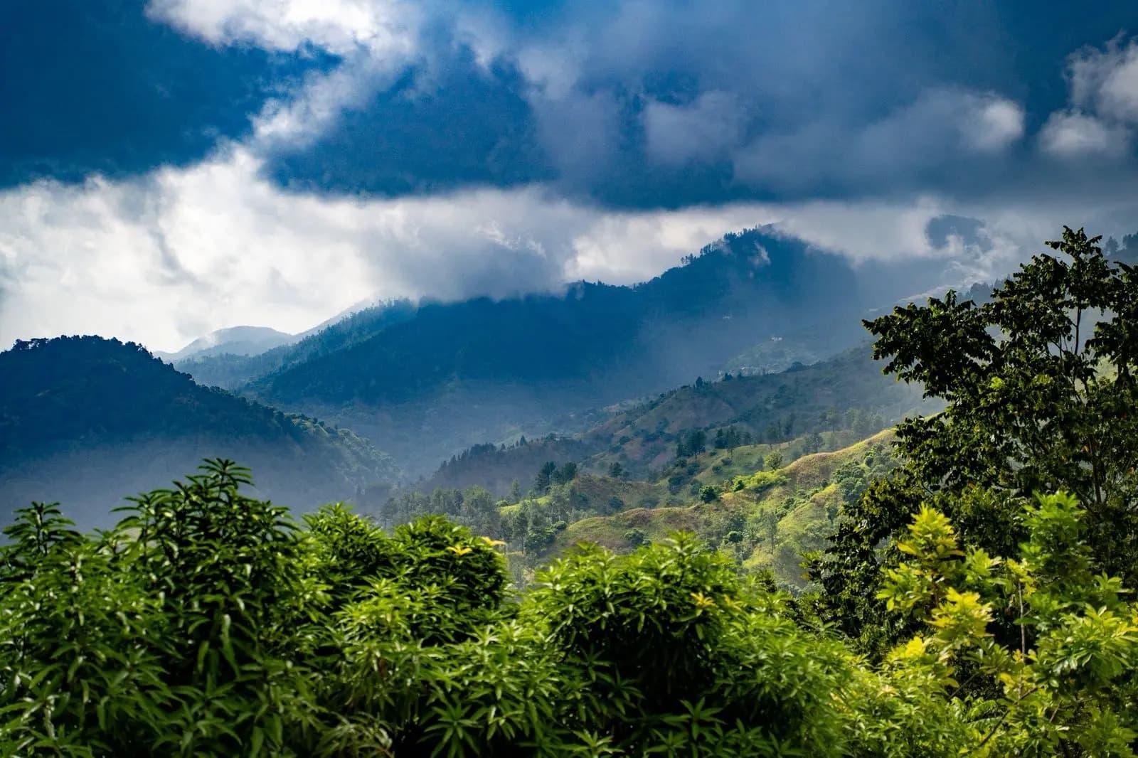 Blue Mountain Peak